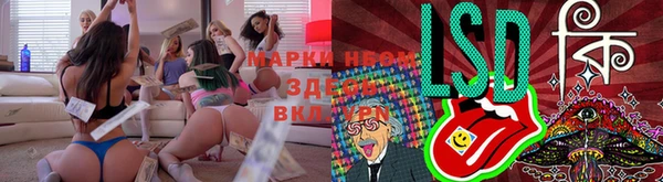 стафф Нея