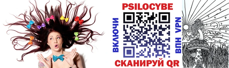 купить наркотик  Чистополь  блэк спрут   Псилоцибиновые грибы Cubensis 