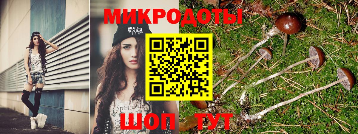Чистополь  Галлюциногенные грибы мухоморы  Вход с VPN 