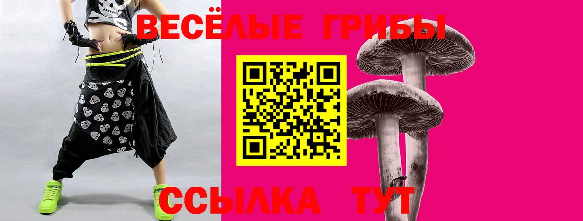 Галлюциногенные грибы мухоморы Чистополь